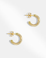 Mini Huggie Hoop Earring-1