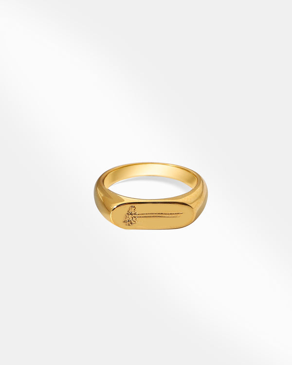 18K Coated Gold Ring